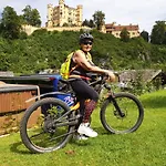샬레 Panorama Tirol