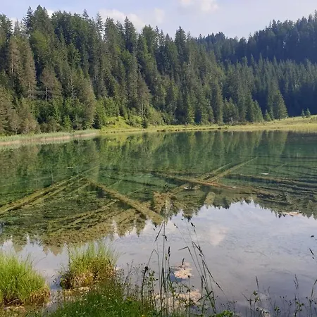 샬레 Panorama Tirol