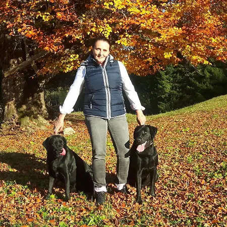 Alpehytte Panorama Tirol Höfen