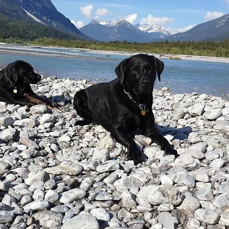 Alpehytte Panorama Tirol *