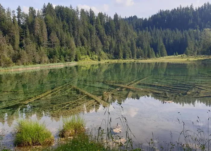 샬레 Panorama Tirol