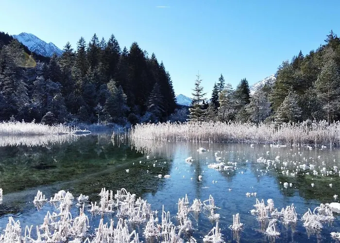 Panorama Tirol 샬레 Höfen