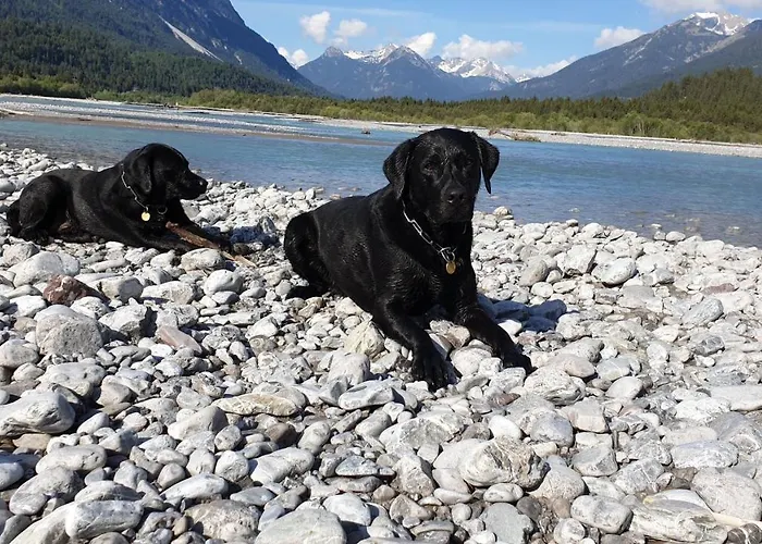 샬레 Panorama Tirol *